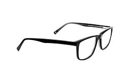 genex 1203 c333