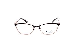 genex 1141 c021