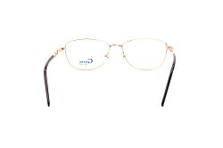genex 1175 c009