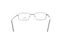 genex 1176 c019