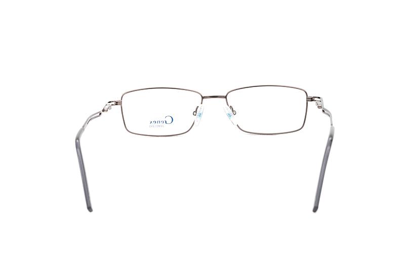 genex 1176 c019