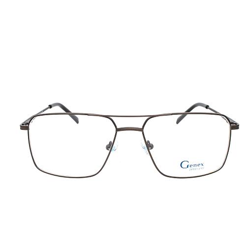 Genex 1373 c041