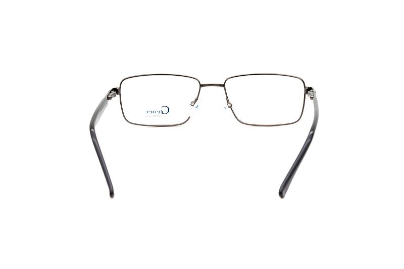 genex 1225 c019