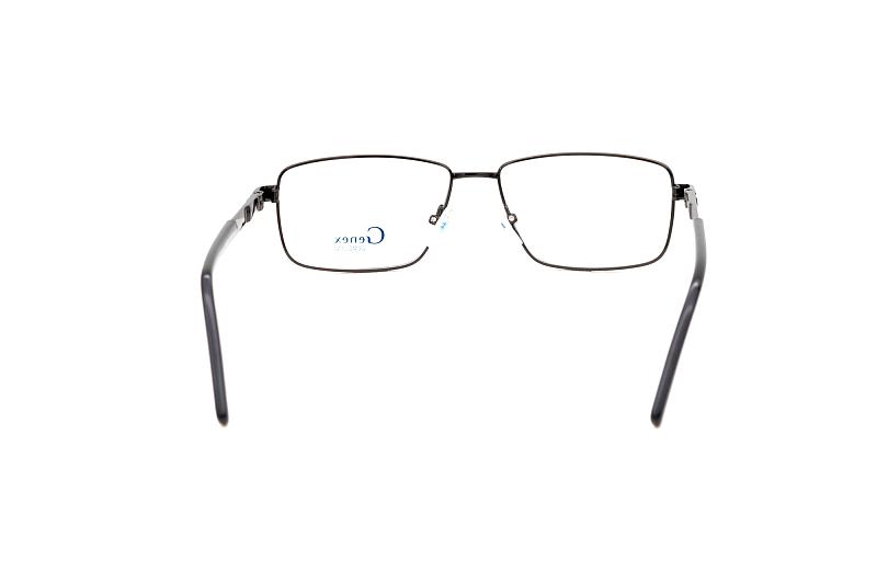 genex 1223 c004