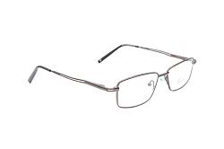 genex 1176 c019